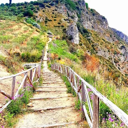 Scirocco House 4* Оливери